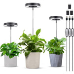 LORDEM Grow Light, Full Spectrum LED Plant Light For Indoor Plants, Height Adjustable Growing Lamp With Auto On/Off Timer 4/8/12H, 4 Dimmable Brightness, Ideal For Small Plants, 3 Packs Of Black,