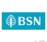 BSN