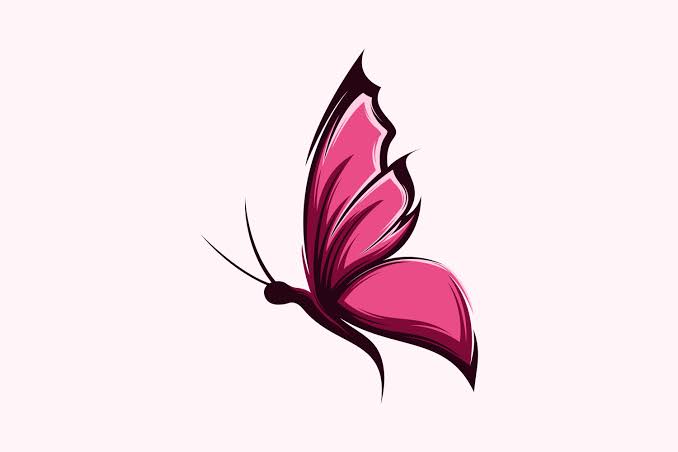 Buttterfly
