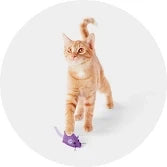 Cat Toys