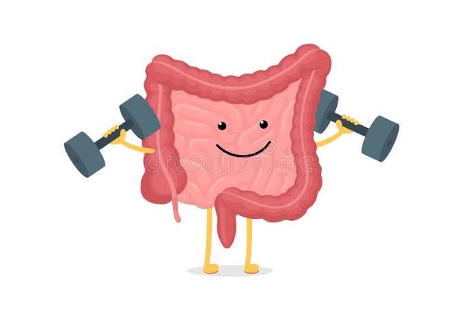 Digestive Health