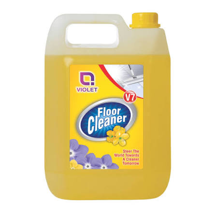 Professional Floor Cleaners