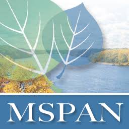 Mspan