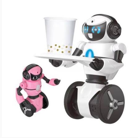 Popular RC Robots