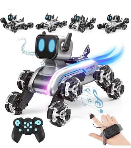 Premium RC Robots