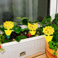 120 Pack Sticky Fruit Fly Traps Gnat Traps For House Indoor, Fruit Fly Traps And Fungus Gnat Sticky Trap Plant Flies Killer, House Plant Fungus Gnat Killer Indoor And Outdoor Bug Trap,
