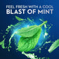 Oral-B Glide Scope Outlast Mint Flavor Floss Picks 75 Count