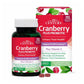 21st Century Cranberry Plus Probiotic Urinary Tract Health 60 Tablets