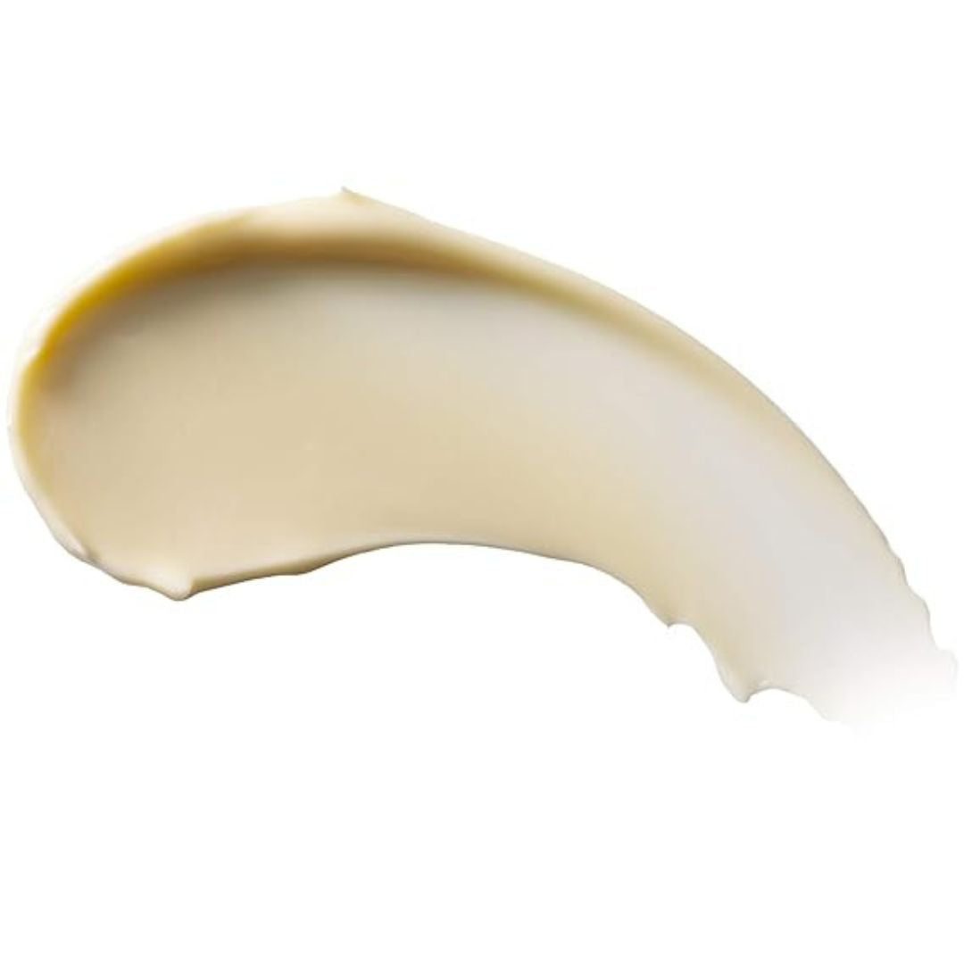 Burt's Bees Milk & Honey Body Lotion 340g,792850006645