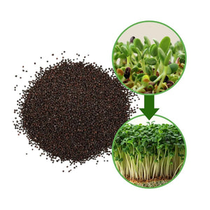 The Sprout House Organic Broccoli Seeds 453g