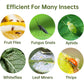 36 Pack Fruit Fly Trap For Indoors, Fungus Gnat Killer Indoor Sticky Traps For Mosquito, Bug Insect Catcher Killer For Houseplant,