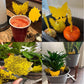 36 Pack Fruit Fly Trap For Indoors, Fungus Gnat Killer Indoor Sticky Traps For Mosquito, Bug Insect Catcher Killer For Houseplant,