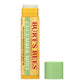 Burt's Bees Cucumber Mint Moisturizing Lip Balm 4.25g,792850900936