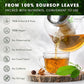 FRESHDRINKUS 40 Premium Soursop Graviola Leaf Tea Bags, 100% Natural And Pure From Soursop Leaves, Handmade, Made With Natural Materials-Corn Fiber Tea Bag, Sugar/Caffeine/Gluten Free, Hoja Guanabana Tea