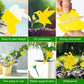 48 Pack Gnat Traps For House Indoor, Sticky Traps For Gnats Fruit Fly Traps For Indoors Plant Gnat Killer Indoor, Gnat Trap Fungus Gnat Sticky Trap Flies Bug Plant Trap,