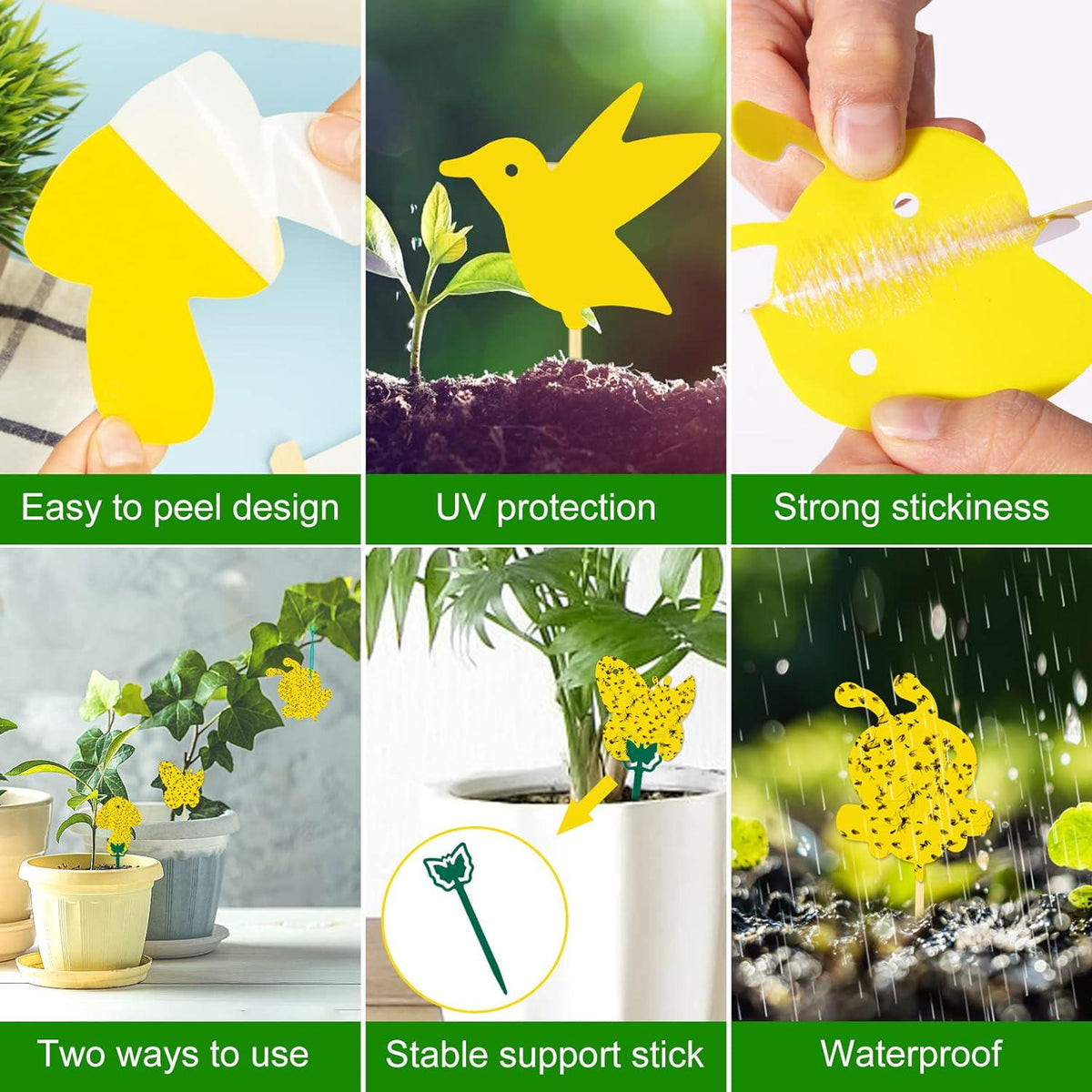 48 Pack Gnat Traps For House Indoor, Sticky Traps For Gnats Fruit Fly Traps For Indoors Plant Gnat Killer Indoor, Gnat Trap Fungus Gnat Sticky Trap Flies Bug Plant Trap,