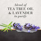 Hair Food Tea Tree & Lavender Water Purifying Conditioner 300ml