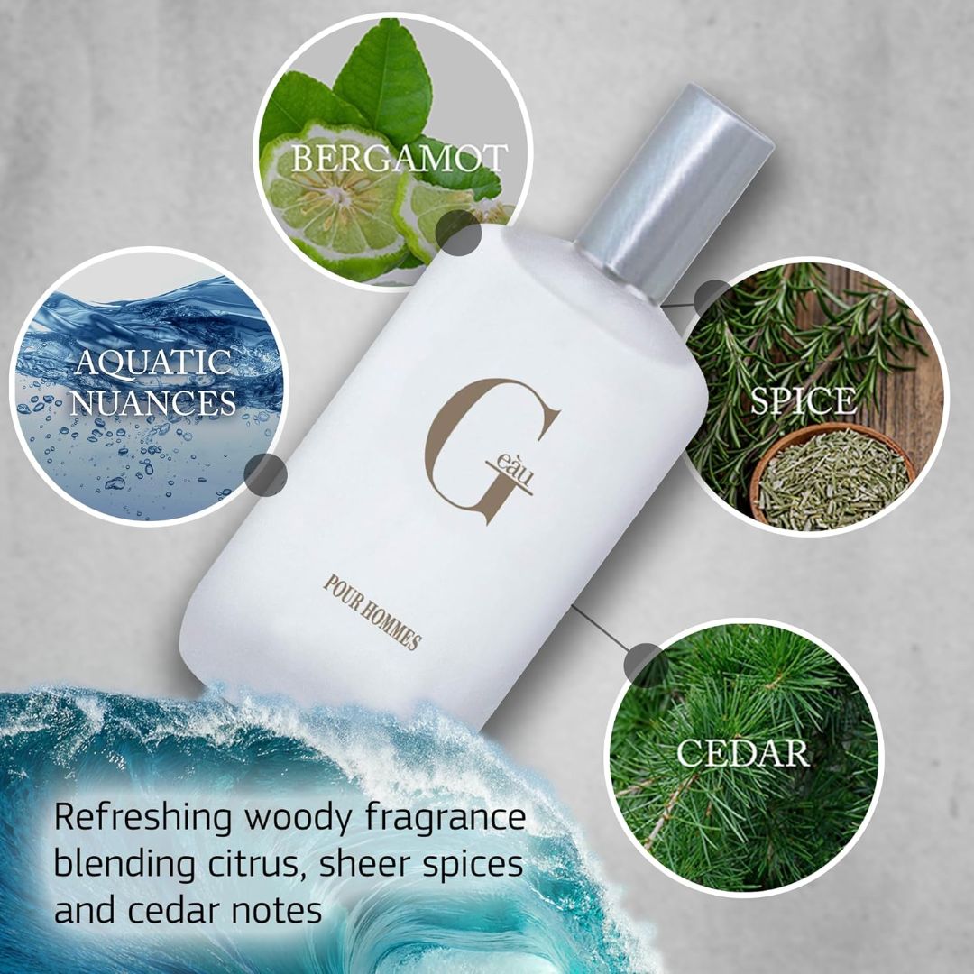 Parfums Belcam G eau Pour Hommes Acqua Di Gio Eau De Toilette For Him 100ml,038949970900