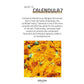 Weleda Baby Calendula Extracts Nourishing Face Cream 50ml