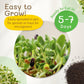 The Sprout House Organic Broccoli Seeds 453g