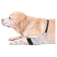 Yealay Small Medium Size Gray Dog Recover Front Legs Sleeve