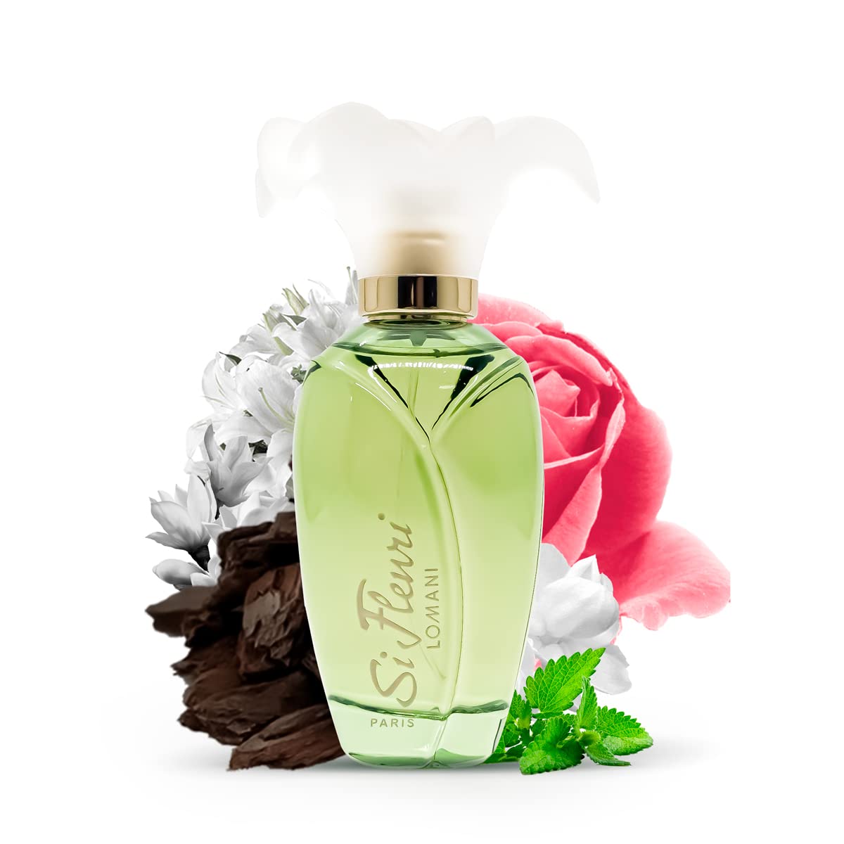 Lomani Paris Si Fleuri Eau De Parfum For Her 100ml,3610400001476,