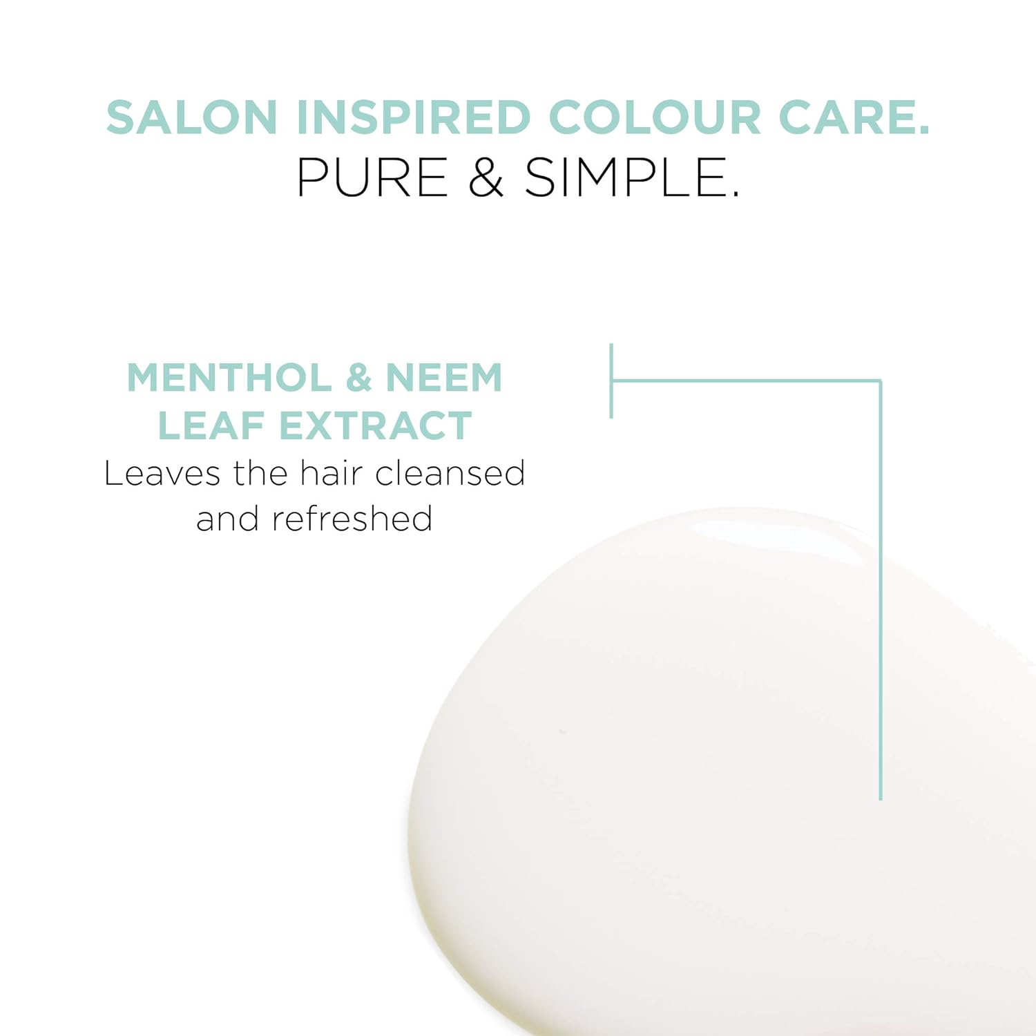 L'Oreal Paris Ever Pure Sulfate-Free Menthol Detox Clarifying Shampoo 250ml,071249424056