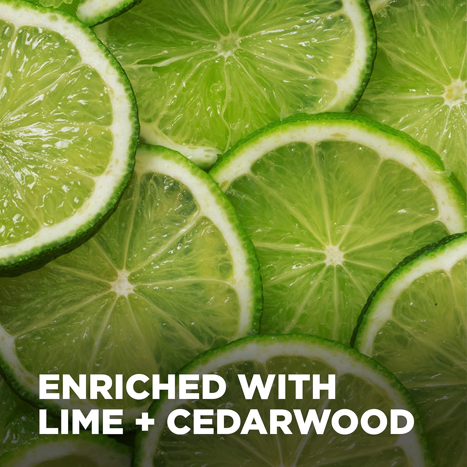 Dove Men +Care Lime + Cedarwood Reinvigorating 2-In-1 Shampoo + Conditioner 603ml,079400479167,