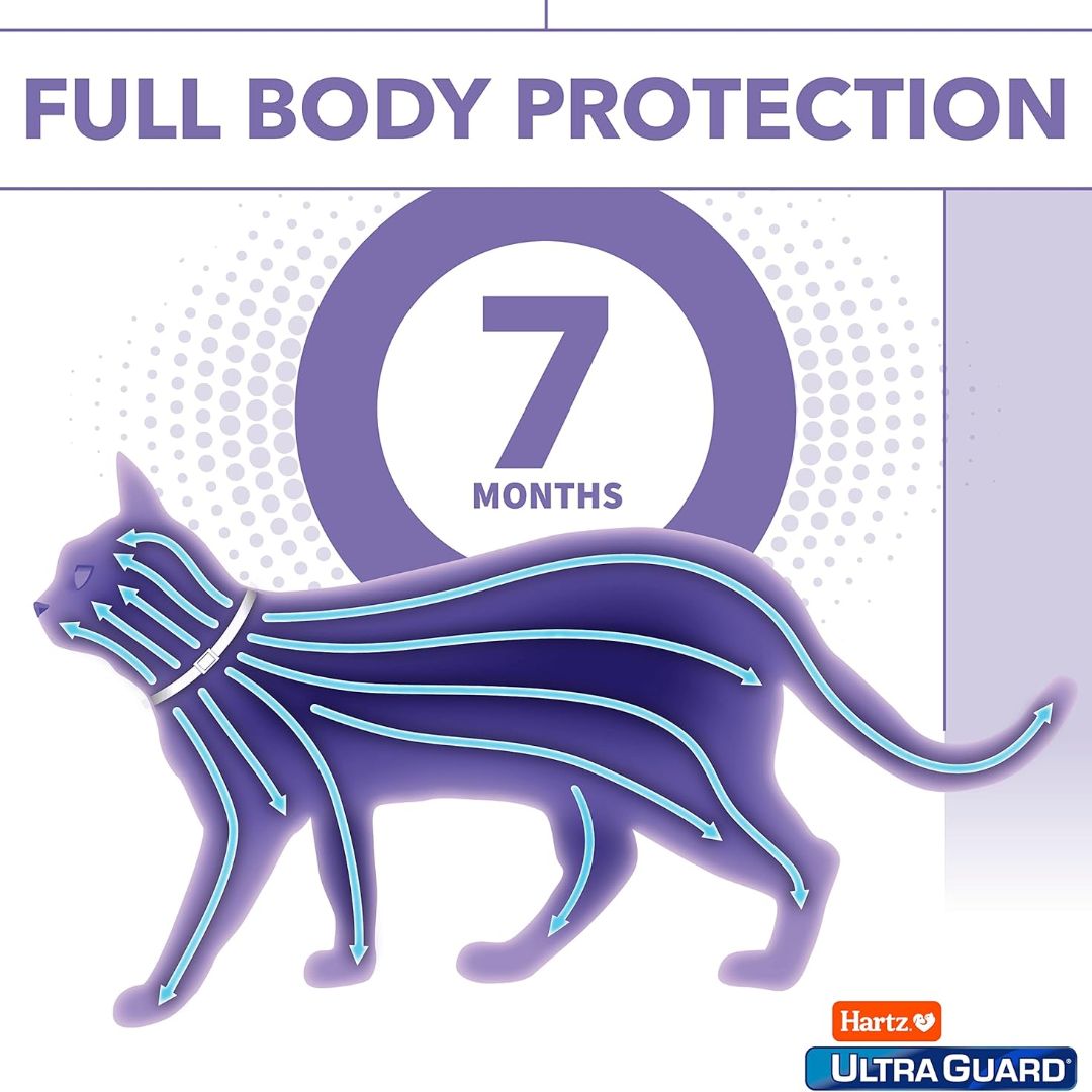Hartz Ultra Guard Flea & Tick White Collar For Cats & Kittens