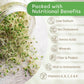 The Sprout House Organic Broccoli Seeds 453g