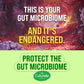 Culturelle Probiotics 15 Billions CFU Health & Wellness 30 Veg Capsules