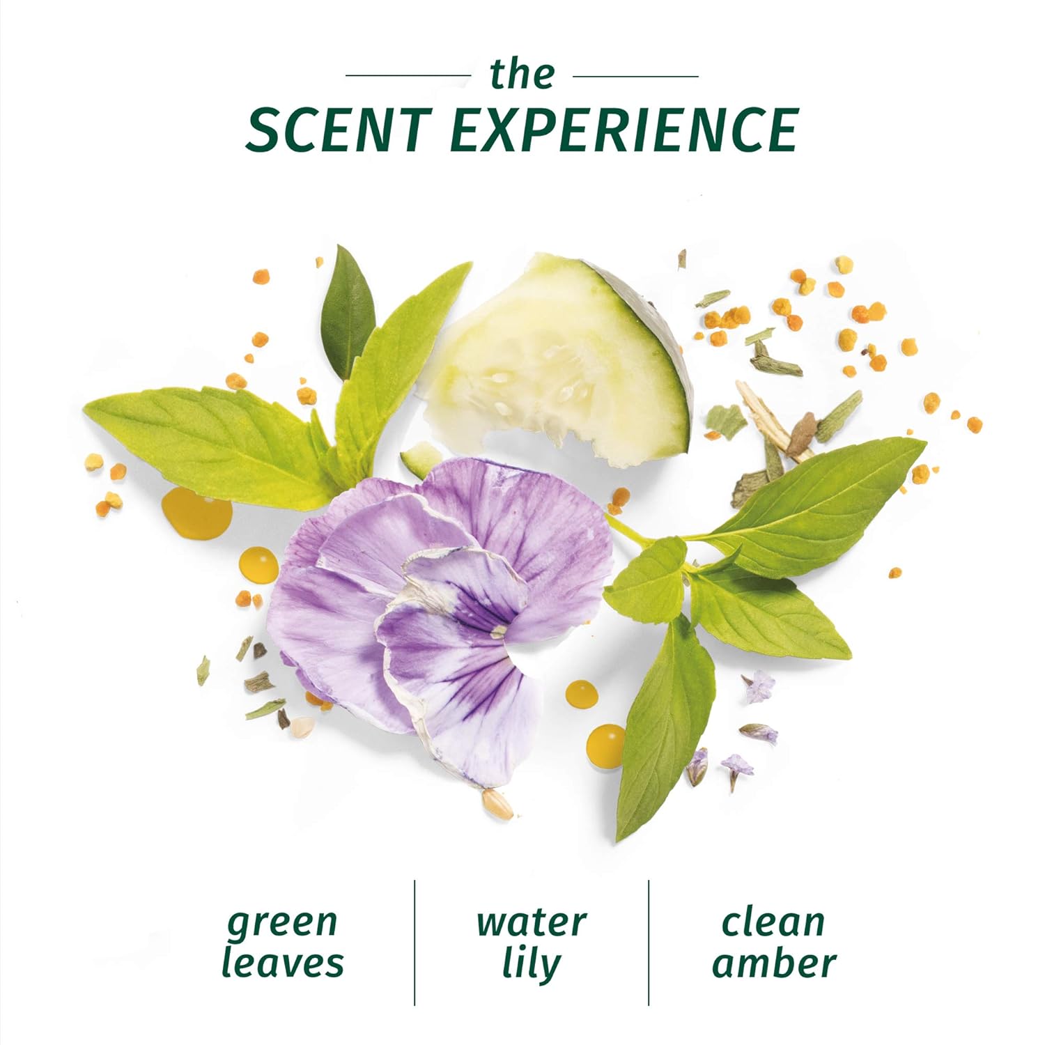 Herbal Essences Bio:Renew Cucumber & Green Tea Lightweight Shine Shampoo & Conditioner 400ml,8001090222664,