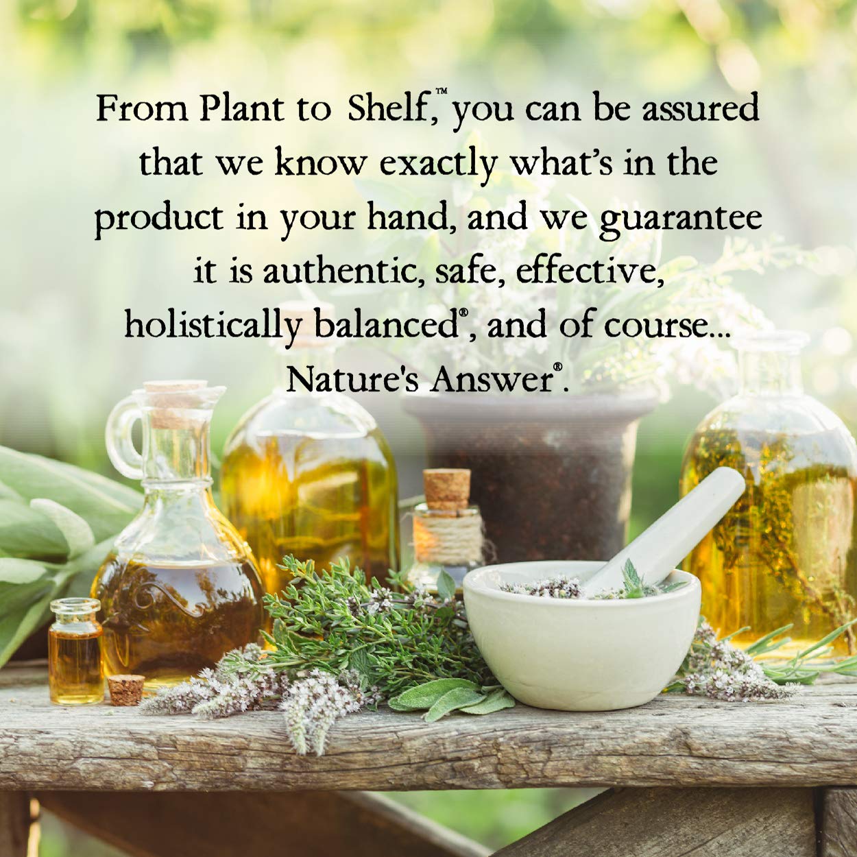 Nature's Answer Black Walnut & Wormwood 2,000mg Fluid Extract 30ml,083000008016