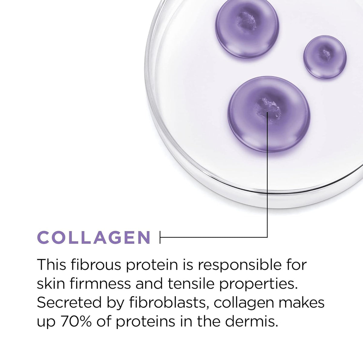 L'Oreal Paris Collagen Moisture Filler Daily Moisturizer Day & Night Cream 50ml,071249152874,
