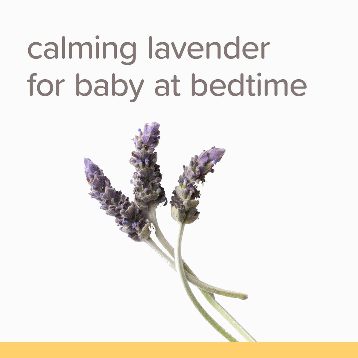 Burt's Bees Baby Calming Lavender Shampoo & Wash 621ml,792850017788