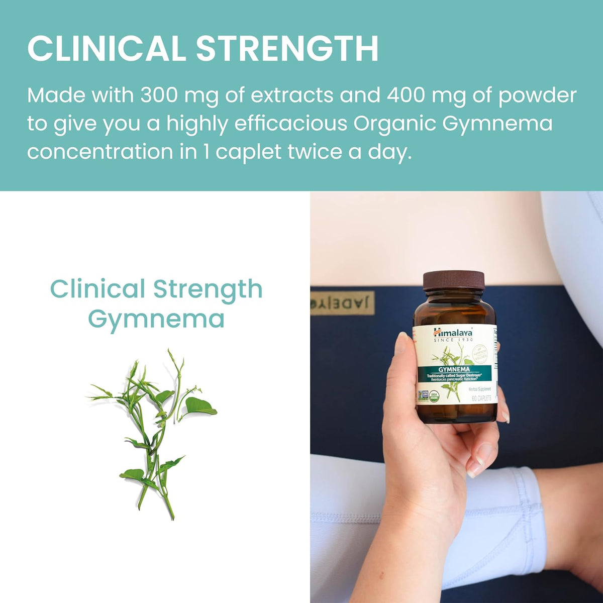 Himalaya Organic Gymnema For Pancreatic Function 60 Caplets,605069418010,