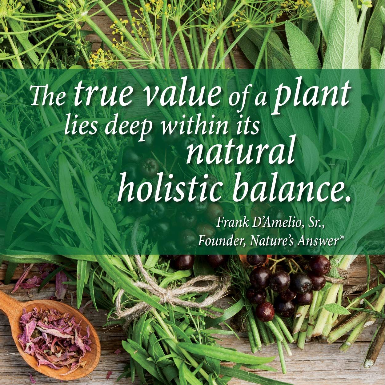 Nature's Answer Black Walnut & Wormwood 2,000mg Fluid Extract 30ml,083000008016