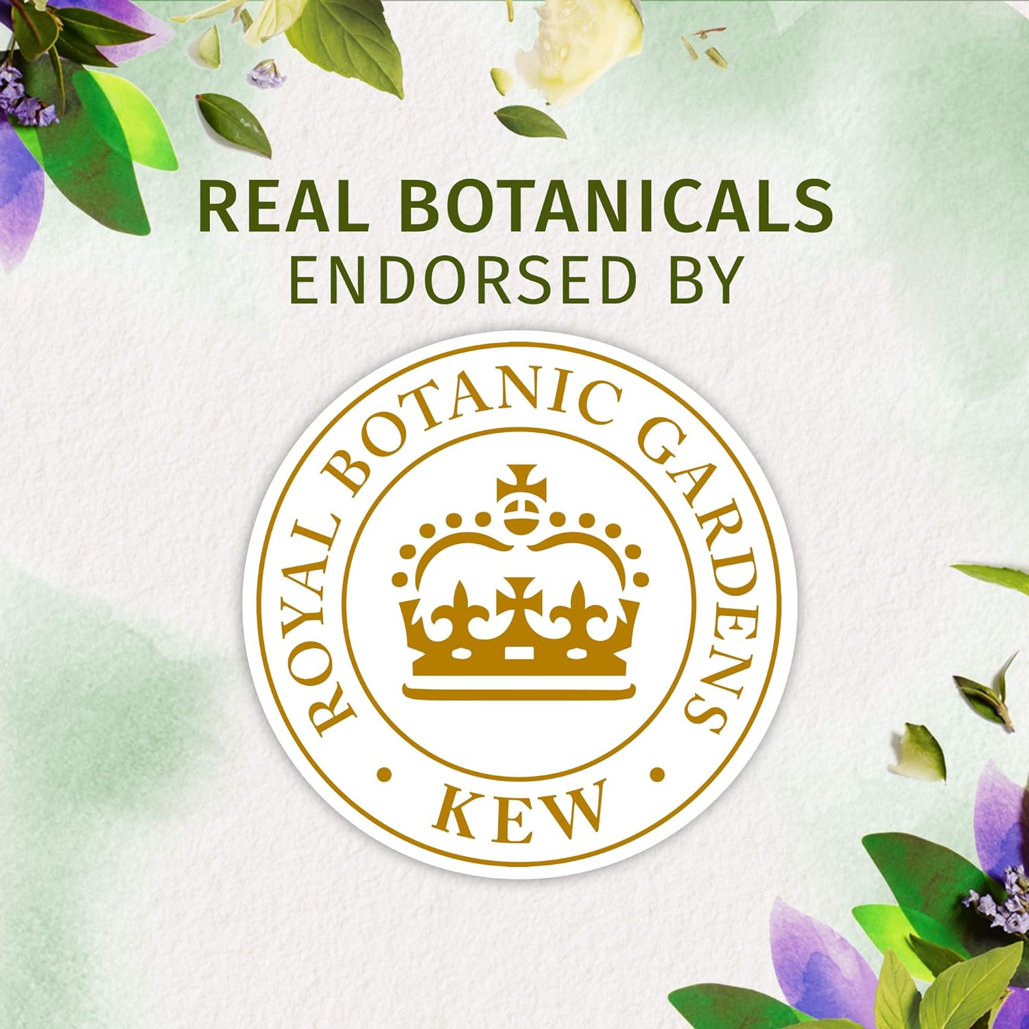 Herbal Essences Bio:Renew Cucumber & Green Tea Lightweight Shine Shampoo & Conditioner 400ml,8001090222664,