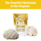 OM Lion's Mane Mushroom Superfood Organic Powder 100g