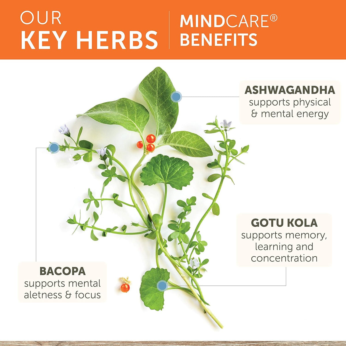 Himalaya Mind Care For Mental Sharpness & Focus 60 Veg Capsules,605069006019