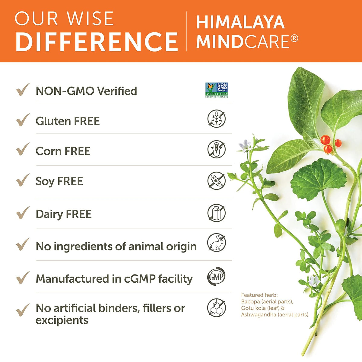 Himalaya Mind Care For Mental Sharpness & Focus 60 Veg Capsules,605069006019