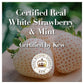 Herbal Essences Bio:Renew White Strawberry & Mint Clean Shampoo 400ml