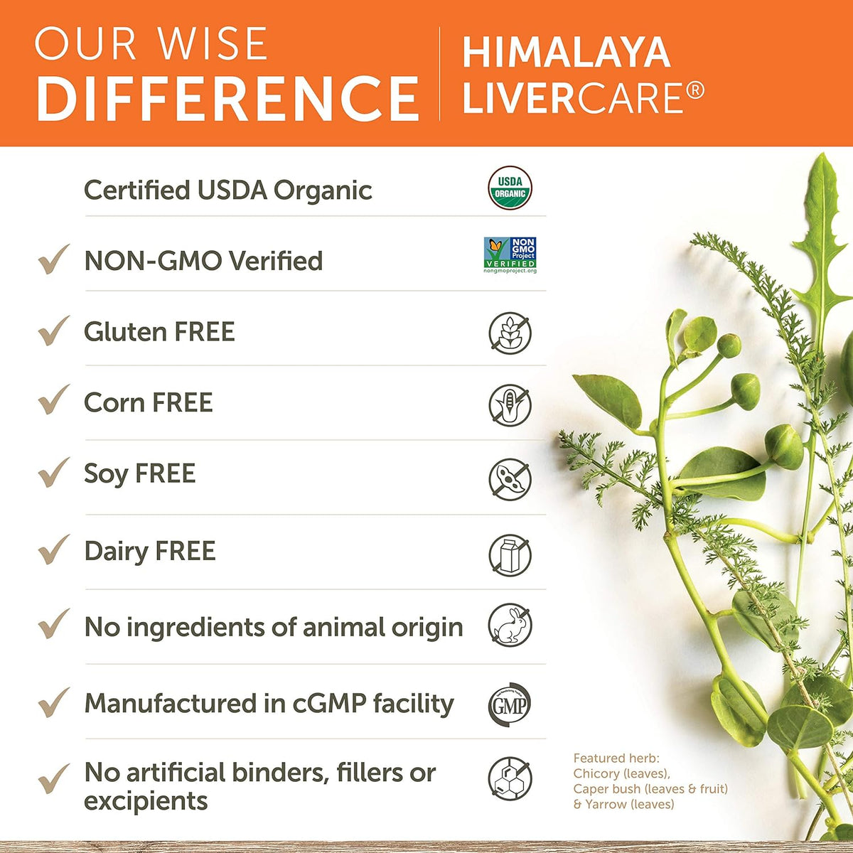 Himalaya Liver Care For Liver Support 180 Veg Capsules,605069005111,