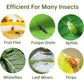 96 Pack Yellow Sticky Fungus Gnat Traps For Indoor And Outdoor Plants, Sticky Gnats Killer House Indoor, Fruit Fly Killer Flying Insects Bug Catcher,