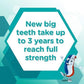 Aquafresh Big Teeth Mild Mint Toothpaste For Kids 6-8 Years