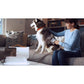 Airrobo Pet Grooming Vacuum Kit 12000Pa with 2L Bin for Dog Hair Quiet Vacuum for Shedding