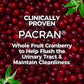 AZO Cranberry Supplement, Made with Concentrated Whole Fruit Cranberry Powder, Helps Cleanse & Protect Urinary Tract, Sugar-Free, Non-GMO, 100 Softgels