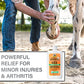 Absorbine Veterinary Liniment Gel, 12 oz, Pain Relief for Sore Muscles, Arthritis in Horses & Dogs
