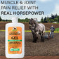 Absorbine Veterinary Liniment Gel, 12 oz, Pain Relief for Sore Muscles, Arthritis in Horses & Dogs