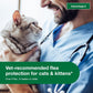 Advantage II Large Cat Flea Treatment, Vet Recommended, 6 Month Supply for Cats Over 9 lbs, Fast-Acting Prevention